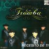 Download track El Cascabel