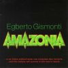 Download track Floresta (Amazonia)