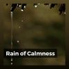 Download track Everyday Rain, Pt. 19