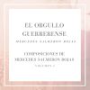 Download track Orgullo Guerrerense