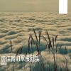 Download track 好和不好都是尽头了