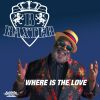 Download track A Love So True (Love Mix)