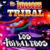 Download track Tribal Arabe