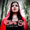 Download track Abdulbari İpek