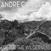 Download track Lost In The Wilderness