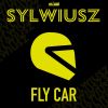 Download track Fly Car (Radio Edit)