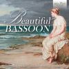 Download track Concerto For Bassoon, Strings And Basso Continuo In E Major, RV 484 I. Allegro Poco