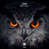 Download track Night Owl Original Mix