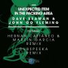 Download track Unexpected Item In The Packing Area (Dubspeeka Remix)