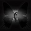 Download track Butterfly