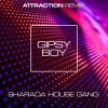 Download track Gipsy Boy (Attraction Remix)