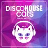 Download track House Of Disco (Gold Soul Mix)