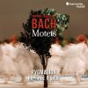 Download track Jesu, Meine Freude, BWV 227 Ihr Aber Seid Nicht Fleischlich