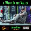 Download track A Walk In The Valley