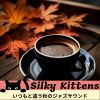 Download track Warm Woolen Whimsy