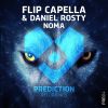 Download track Noma (Flip Capella Remix)