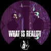 Download track What Is Reality