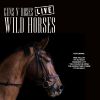Download track Wild Horses (Live)