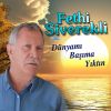 Download track Dünyamı Başıma Yıktın