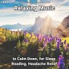 Download track Relaxing Music, Pt. 5