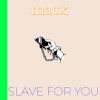 Download track Slave For You