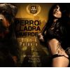 Download track Perro Que Ladra No Muerde