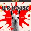 Download track U R House (Original Mix)