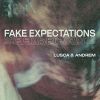 Download track Fake Expectations (Sequencers Remix)