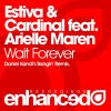 Download track Wait Forever (Daniel Kandi'S Bangin' Remix)