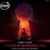 Download track Stuck In Wonderland (Perpetual Present Remix)