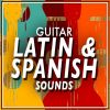 Download track Flamenco Guitar