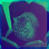 Download track Sumptuous Ambiance For Comfy Cats