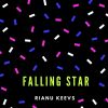 Download track Falling Star (Original Mix)