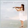 Download track String Quintet In G Major, Op. 111: III. Un Poco Allegretto (Arr. C. Rosekrans)