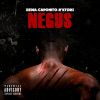 Download track Negus