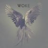 Download track Woke (Xenturion Prime Remix)