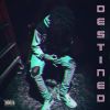 Download track DESTINED