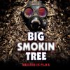 Download track Big Smokin' Tree