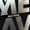 Download track Silver Lining (Instrumental)