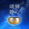 Download track 宁静的钵音-Demo