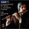 Download track 09. - Boismortier. - Suite No. 2 In G Major, 3. Musette En Rondeau. Gracieusement