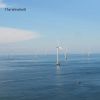 Download track The Windmill