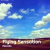 Download track Flying Sensation (Tribal Space Remix)