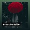 Download track Brauche Stille