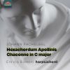 Download track Hexachordum Apollinis: No. 1 In D Minor, Aria & 6 Variations, P. 193