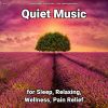 Download track Healing Music To Help Fall Asleep