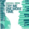 Download track Try Me One More Time