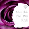 Download track Rain Sounds - Meditation