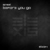 Download track Before You Go (Extended Mix)