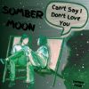 Download track Can't Say I Don't Love You (Intsrumental)